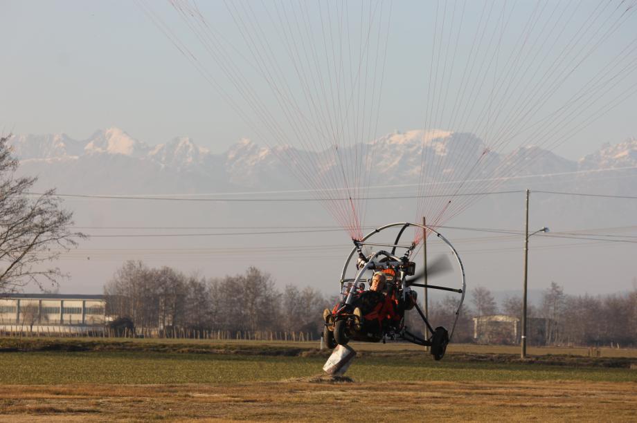 Frei sein wie ein Vogel
